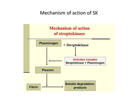 Streptokinase Pour La Coagulation Sanguine Et L'Inhibition Des Fibres De Fibrinogène !